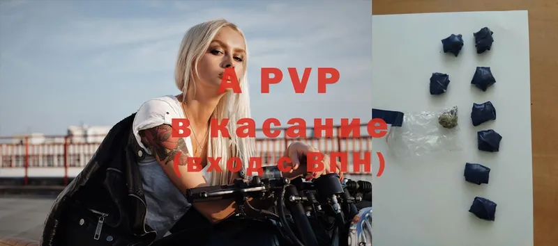 A PVP СК КРИС Бор